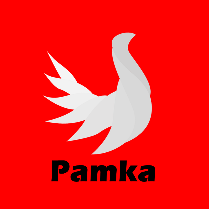 معرفی پامکا